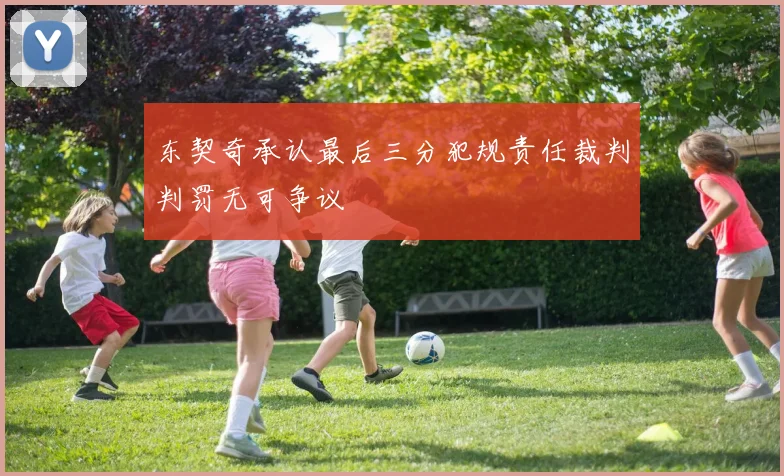 东契奇承认最后三分犯规责任裁判判罚无可争议